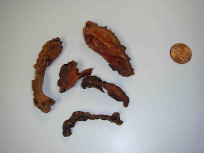treatment for headachedizzinessweaknessupset stomachand tinnitus
